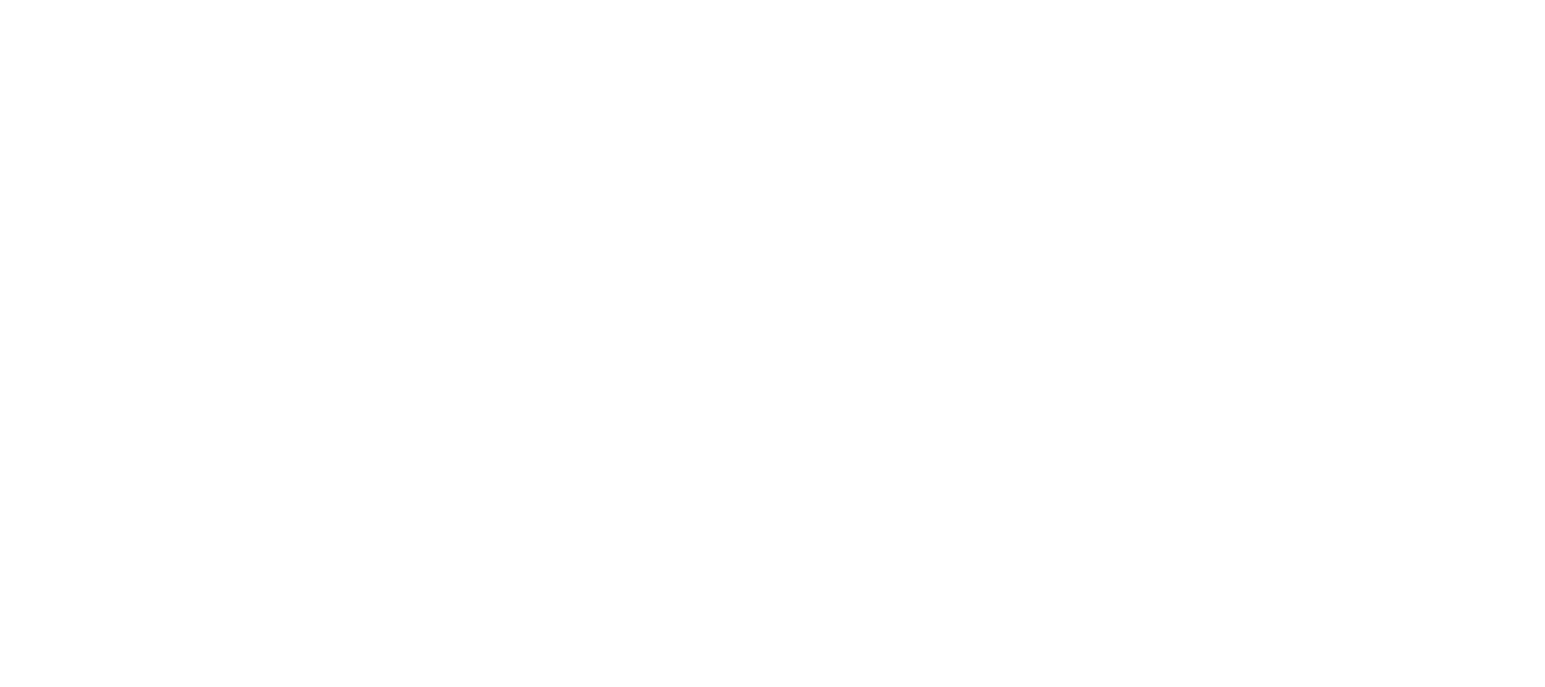 Shengqi Precision logo